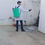 Désinsectisation contre les tiques dans une cour extérieure