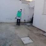 Traitement anti-tiques réalisé par un technicien certifié