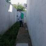 Traitement contre les tiques dans un passage envahi de végétation