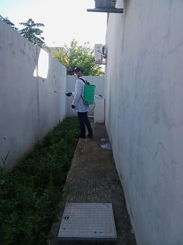 Traitement contre les tiques dans un passage envahi de végétation
