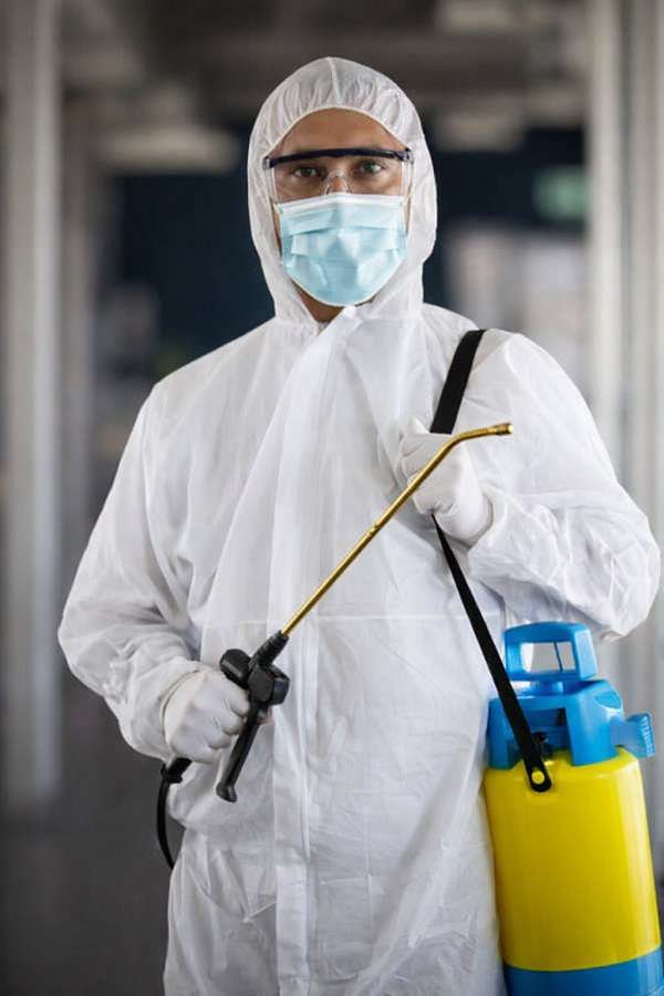 entreprise de désinfestation